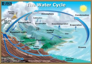 water cycle